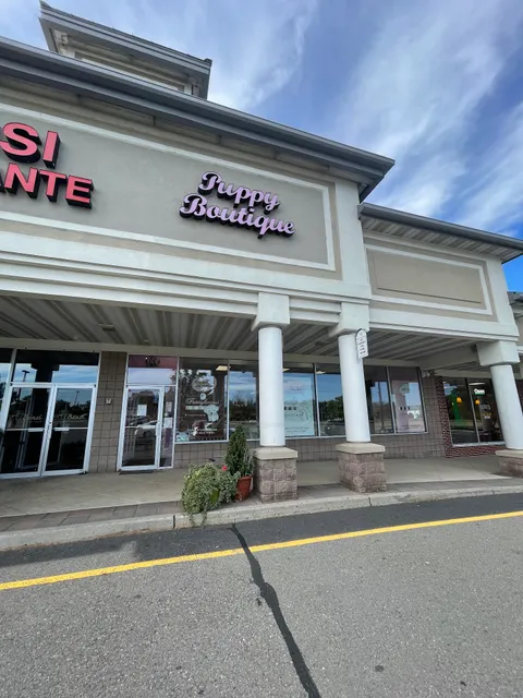 Furrylicious Puppy Boutique