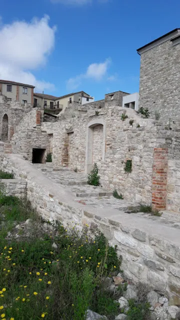 La vigna della Corte