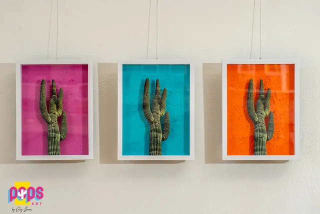 POPS Art by Casey James