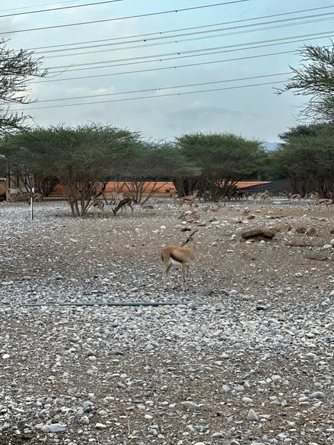 Jalan Bani Bu Hassan