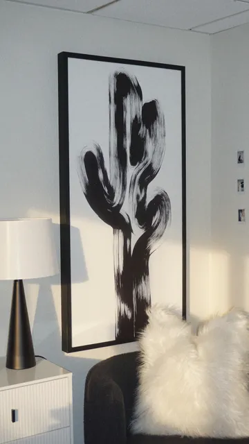 Desert Dream Esthetics