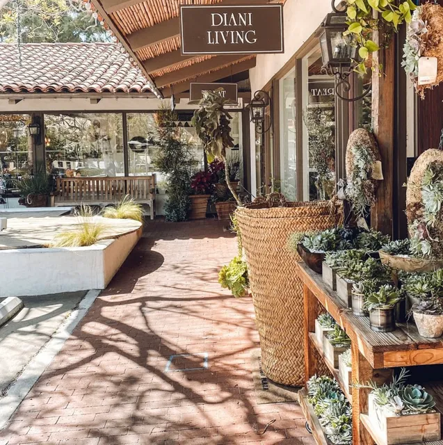 DIANI + DIANI Shoes + DIANI Living