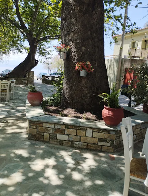 ΠΑΜΕ ΠΛΑΤΕΙΑ, ΚΑΦΕ-ΕΣΤΙΑΤΟΡΙΟ, ΚΟΥΝΑΤΙΔΗΣ ΑΠΟΣΤΟΛΟΣ