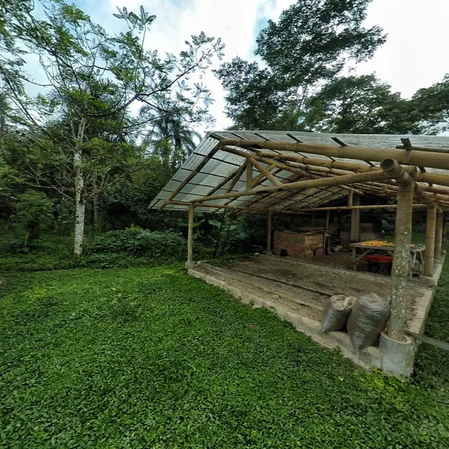 Mashpi Chocolate - Reserva Mashpi Shungo