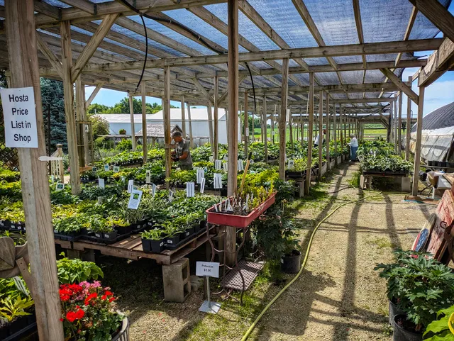 In the Country Garden & Gifts