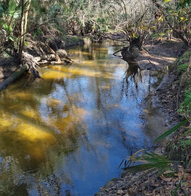 Alafia River Reserve