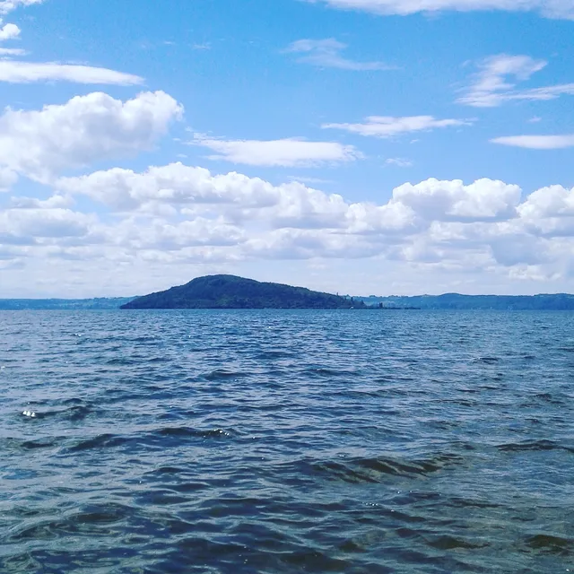 Hannahs Bay Organic Community Garden