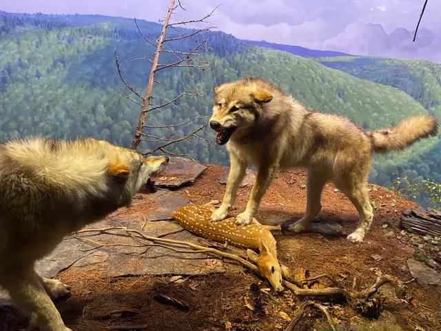 Pennsylvania Historical & Museum Commission