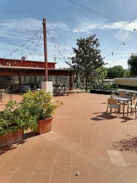 Roma camping in town