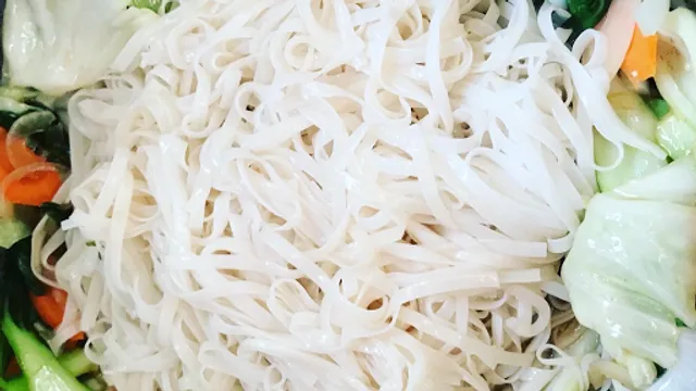 Vivi-deliCAT- LittleNancyHoiAn