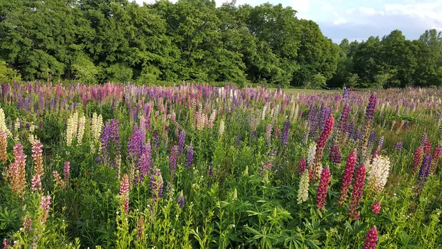 Hokusei-no-oka Observatory Park