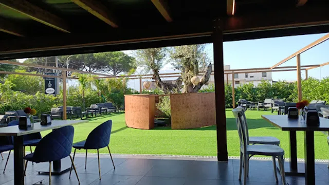 Nemoris Lounge Bar Philosophy