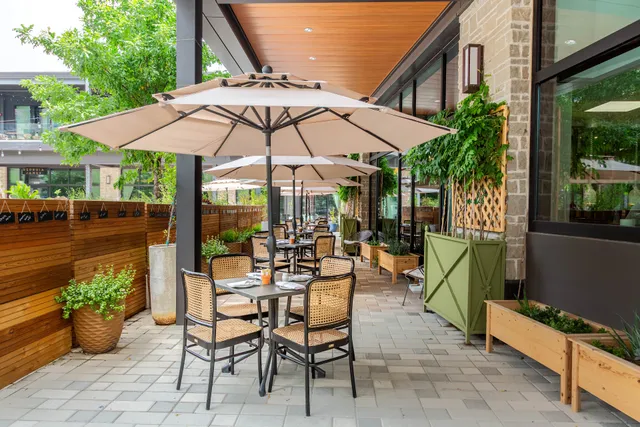 Succulent Fine Dining