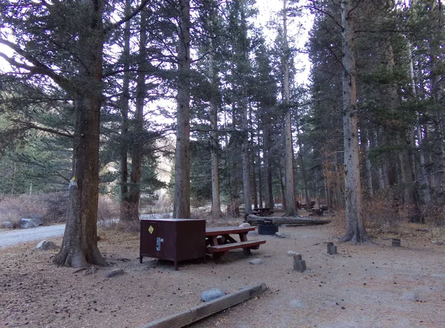 Big Meadow Campground