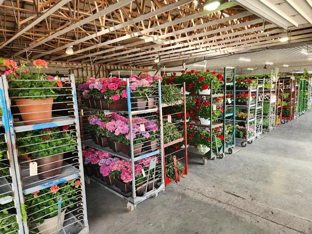 Cedar Valley Produce Auction Inc