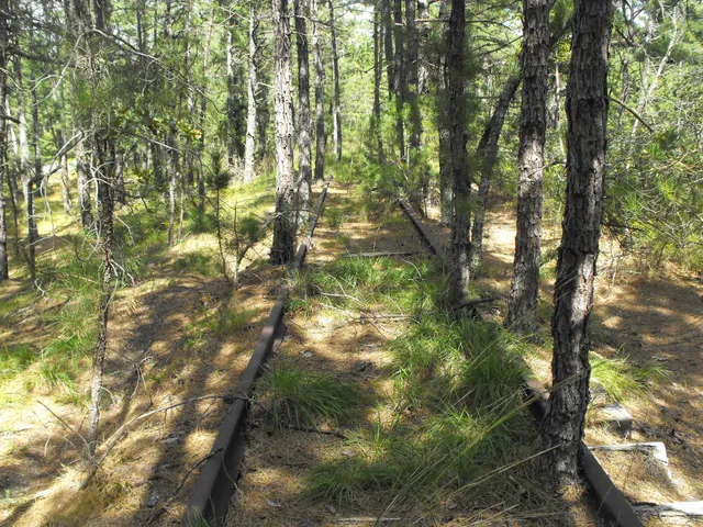 Jersey Central Lines Trail