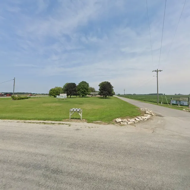 Marion International Flea Market