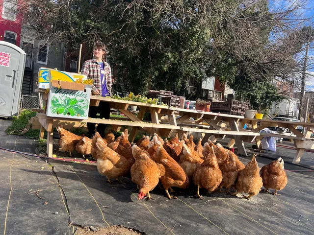 Plantation Park Heights Urban Farm