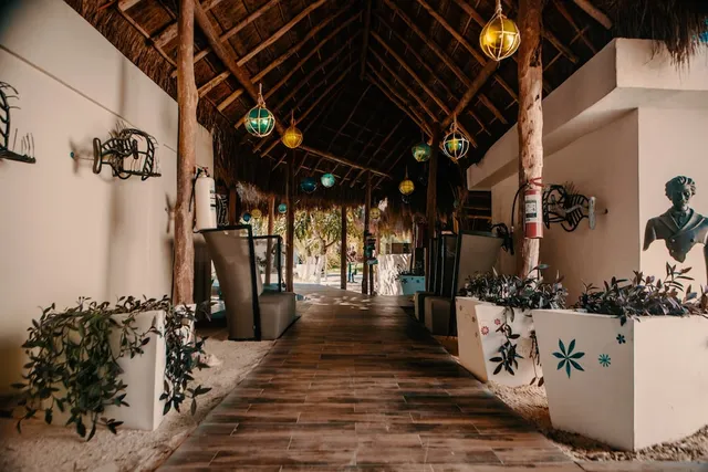 Hotel Paradise Suites