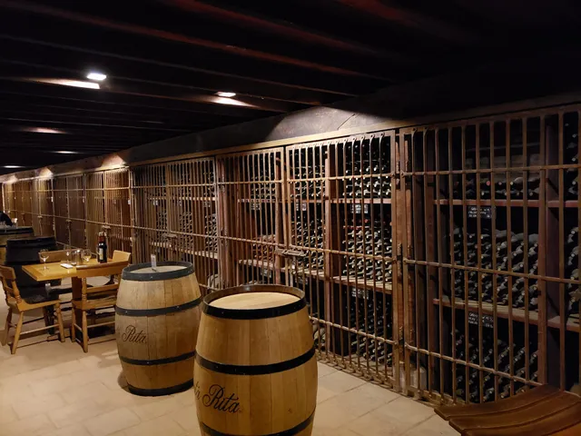 Park and house of Viña Santa Rita