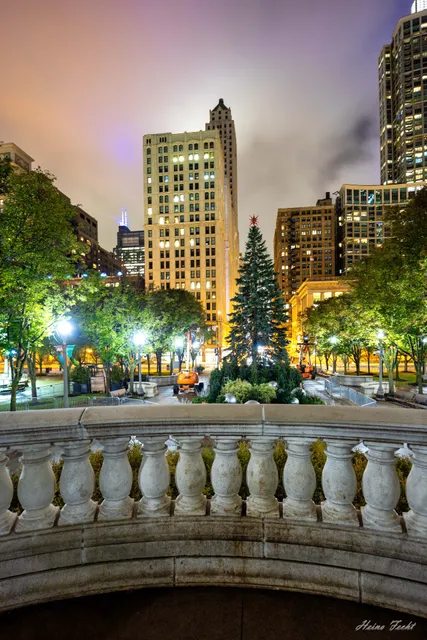 Chicago Christmas Tree