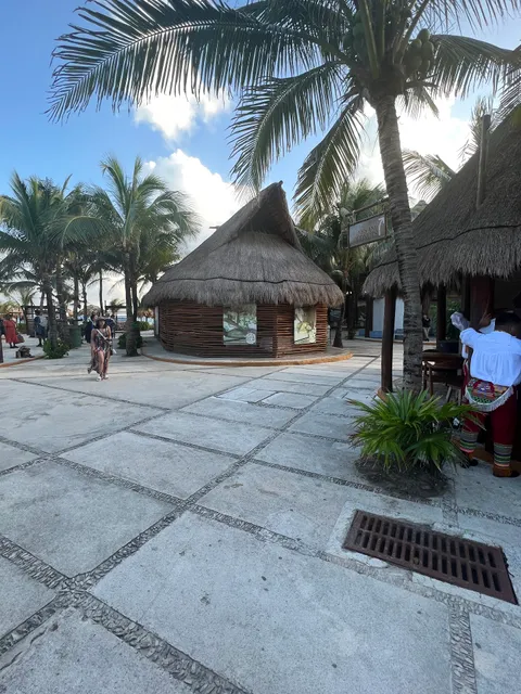 Mayan Healing Rituals - Costa Maya