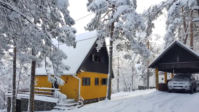 Nirvana Čudesni bor - Divčibare