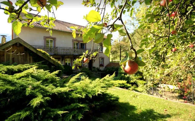 Le P'tit Bonheur - Hébergement avec jacuzzi cœur des Vosges
