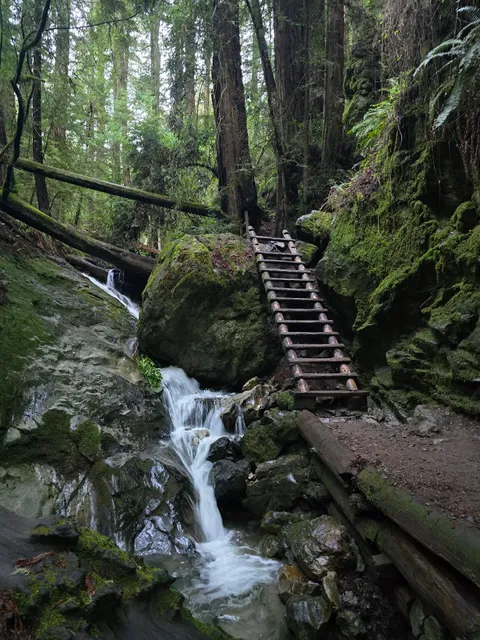 The Ladder - Steep Ravine Trail