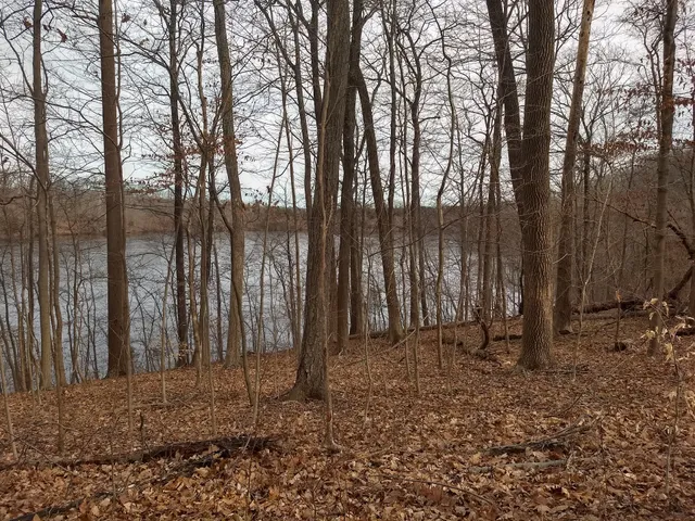 Green Lane Park - Blue Trail