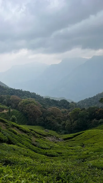 Wild campers cottages