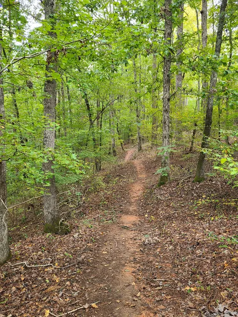 Forks Area Trail System (FATS)