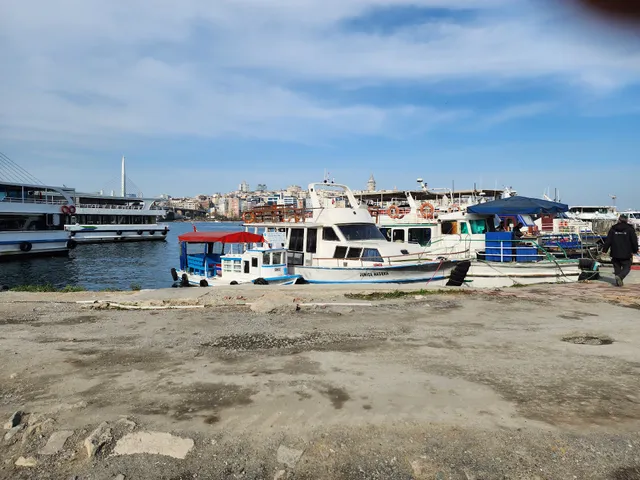 Tarihi Eminönü Balikçisi