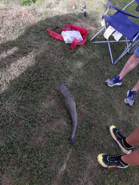 West Perry Boat and Motor, Inc