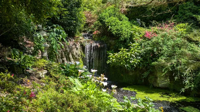 Woodland Garden, Compton Acres