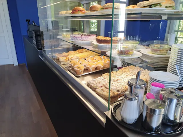 Villa Leonhardi im Palmengarten