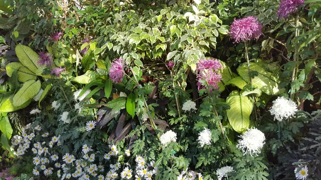 Saskatoon Civic Conservatory