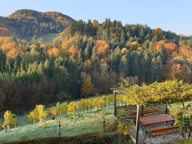 Ferienhaus Am Herbsthof