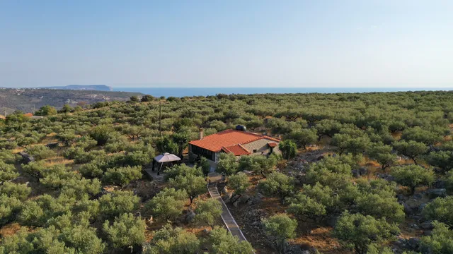 Πέτρα και Ελιά