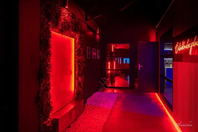 Ô Diable Des Plaisirs - Suite avec Spa privatif - Loveroom