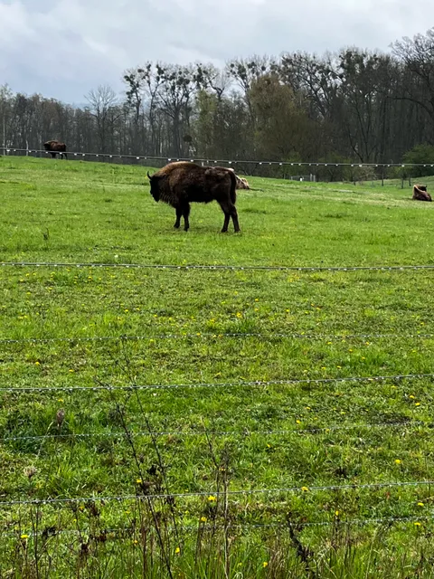 Weg der Auenblicke, Criewen im Nationalpark unteres Odertal