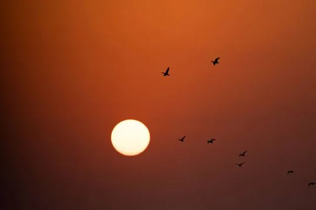 North Natomas Regional Park
