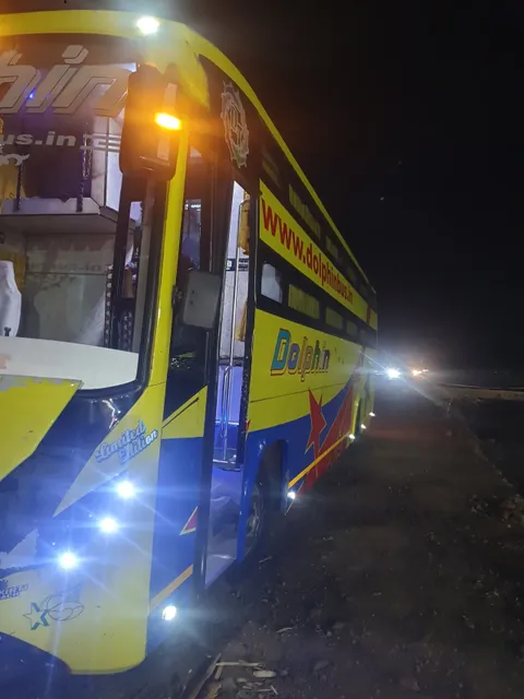 Dolphin Travel House