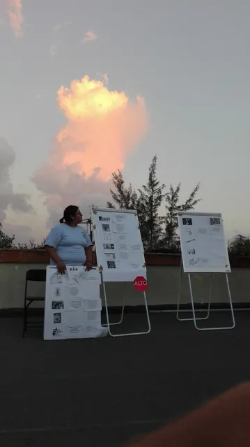 Semarnat Conanp Parque Nacional Arrecifes de Cozumel