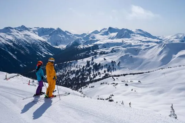 Spring Mountain Adventures