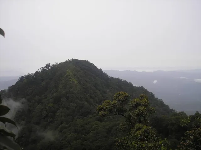 Gunung Pesawaran