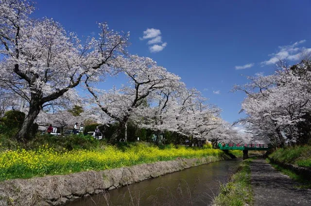 Gyoya River Waterside Park