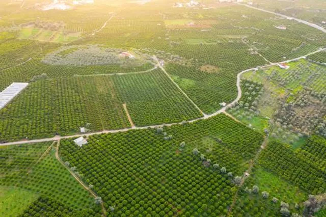 Enclave Arqueológico de Ategua