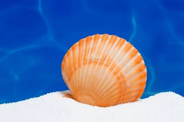 Agard Forest Park Sport and Recreation Center