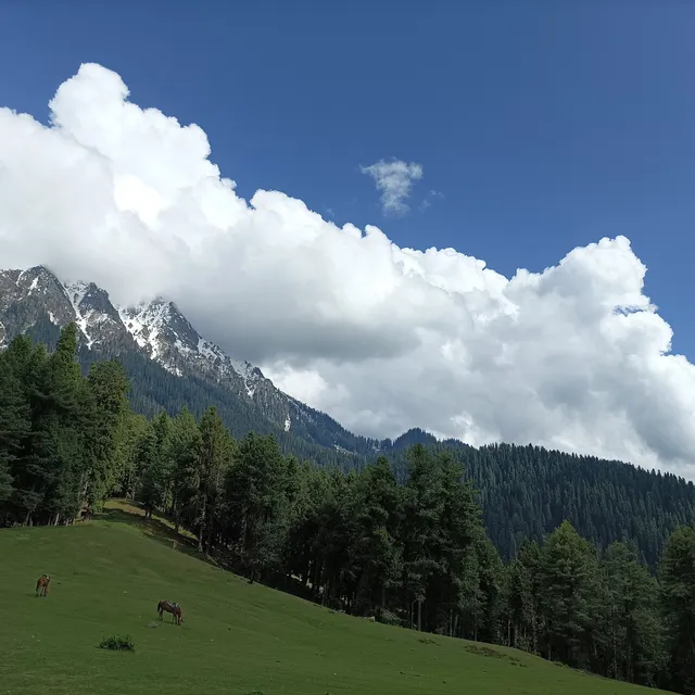 place image